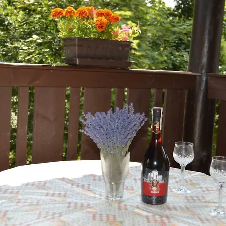 Adrian Slovak Paradise