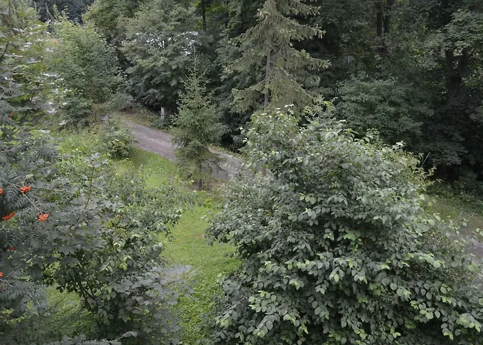 Adrian Slovak Paradise Alpstuga Spišské Tomášovce